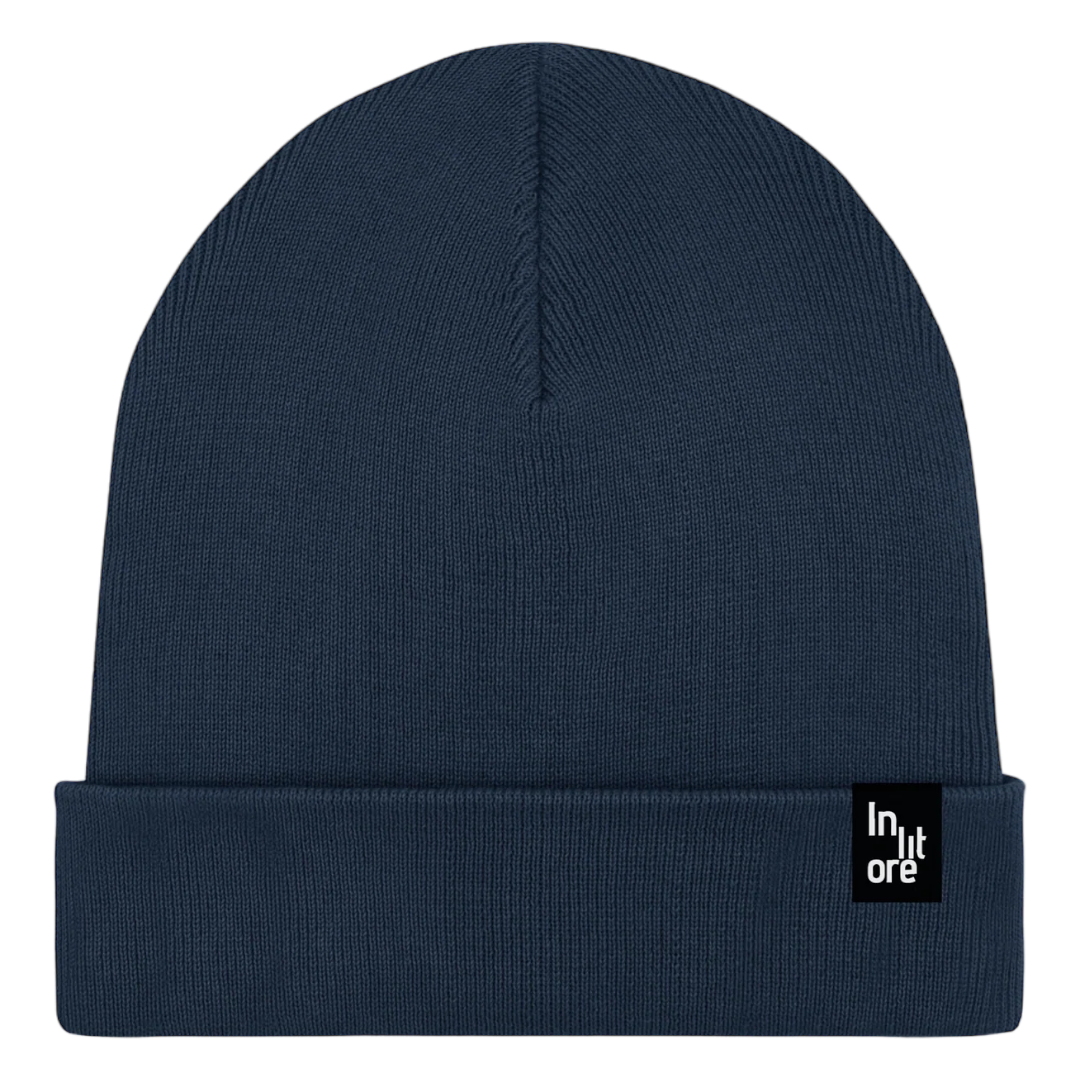 french navy