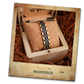 Schwarzer Ahorn-gold