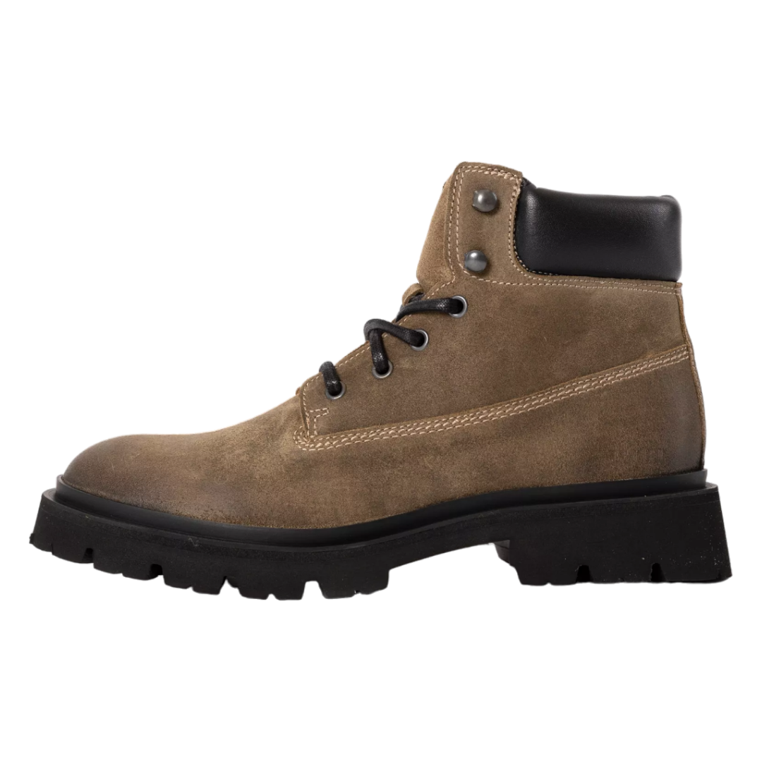 black-olive